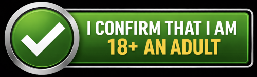 I confirm I am old enough